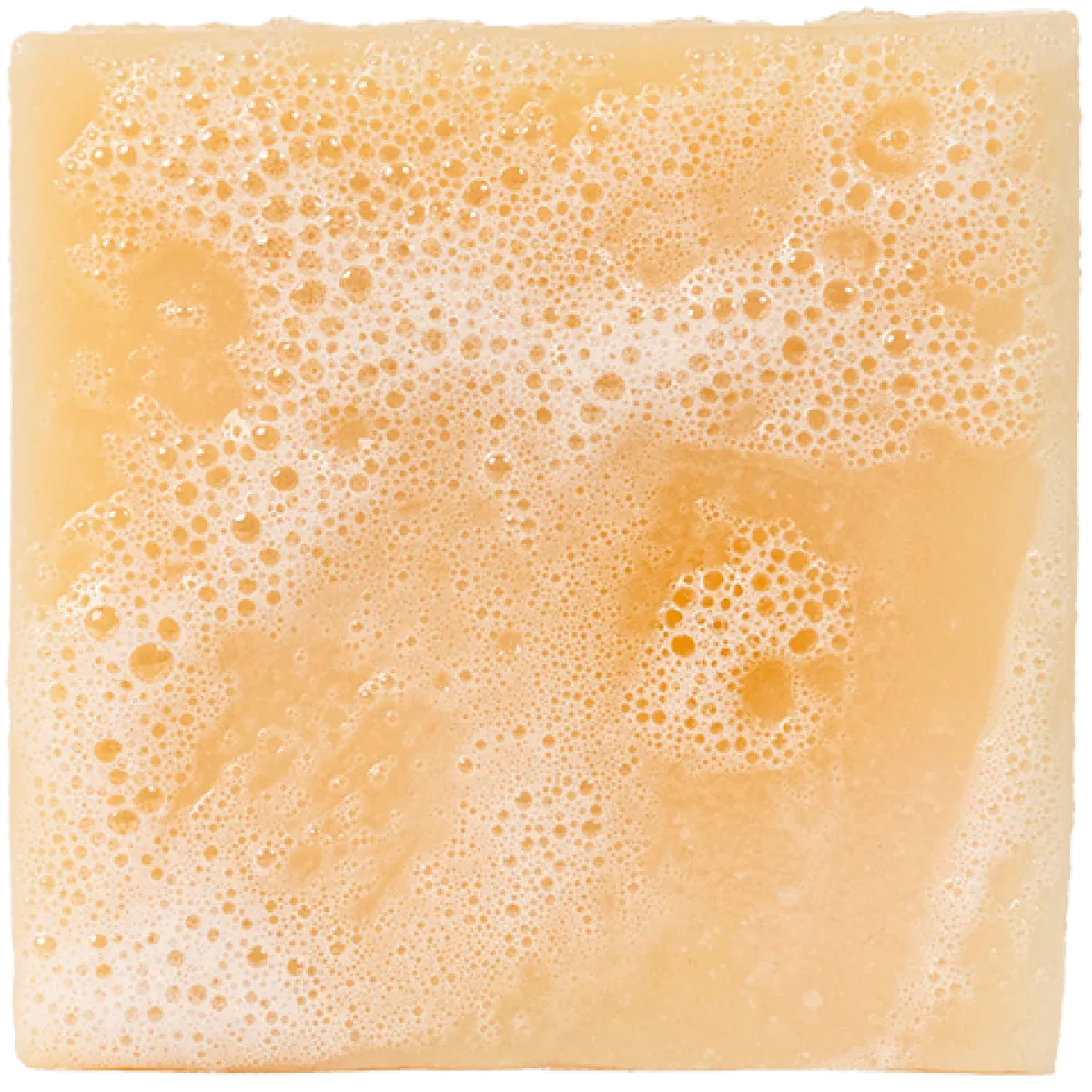 Alpine Sage-Bar Soap- Dr Squatch