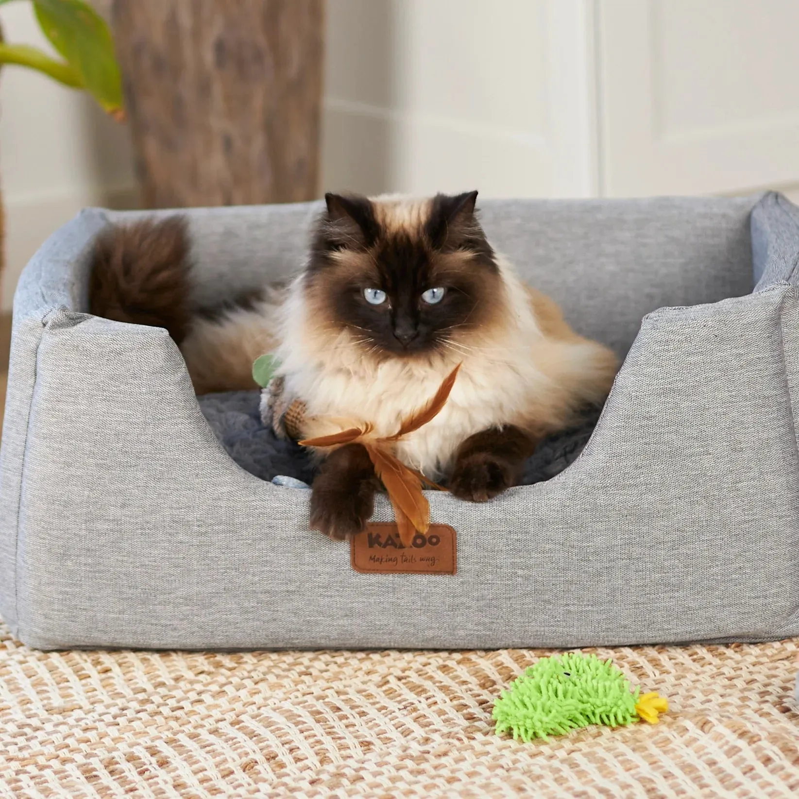 Kazoo Scruffy Cactus Cat Toy