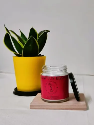 Peppermint Jar Candle| Single Wick Candle by Spark & Scents Candle Co | 200 GMS| Smokeless & Non-Toxic Candles for Home Decor & Aromatherapy | Long Burning Time Up to 40 Hours| (Peppermint)