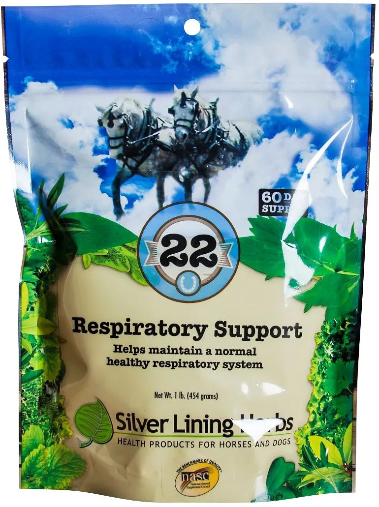 Silver Lining Herbs Respiratory Support Horse Supplement